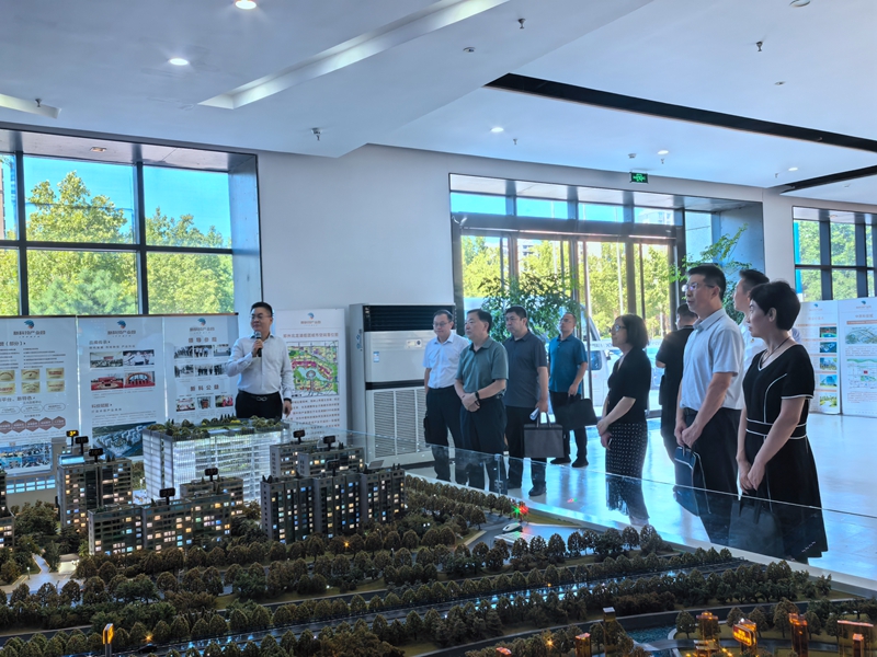 1724055158611.jpg 3.jpg