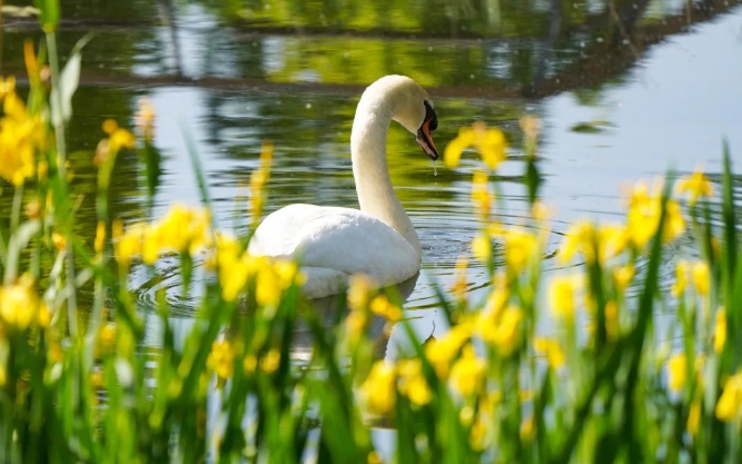 1726643655756.png 58.png