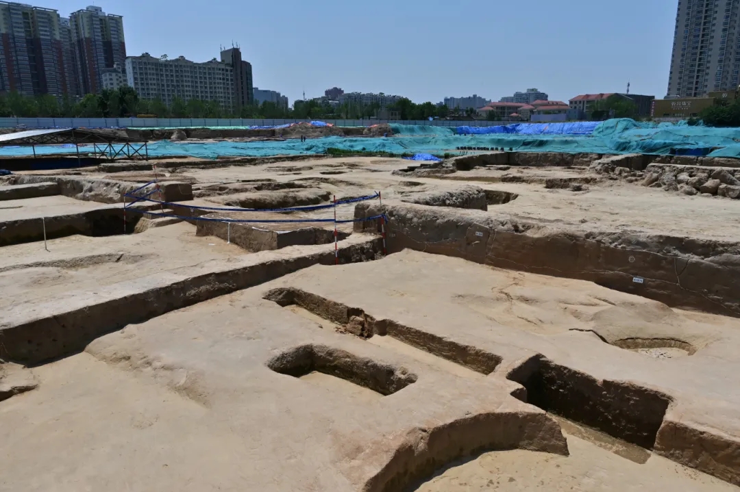 1715163940025.jpg 2.webp.jpg