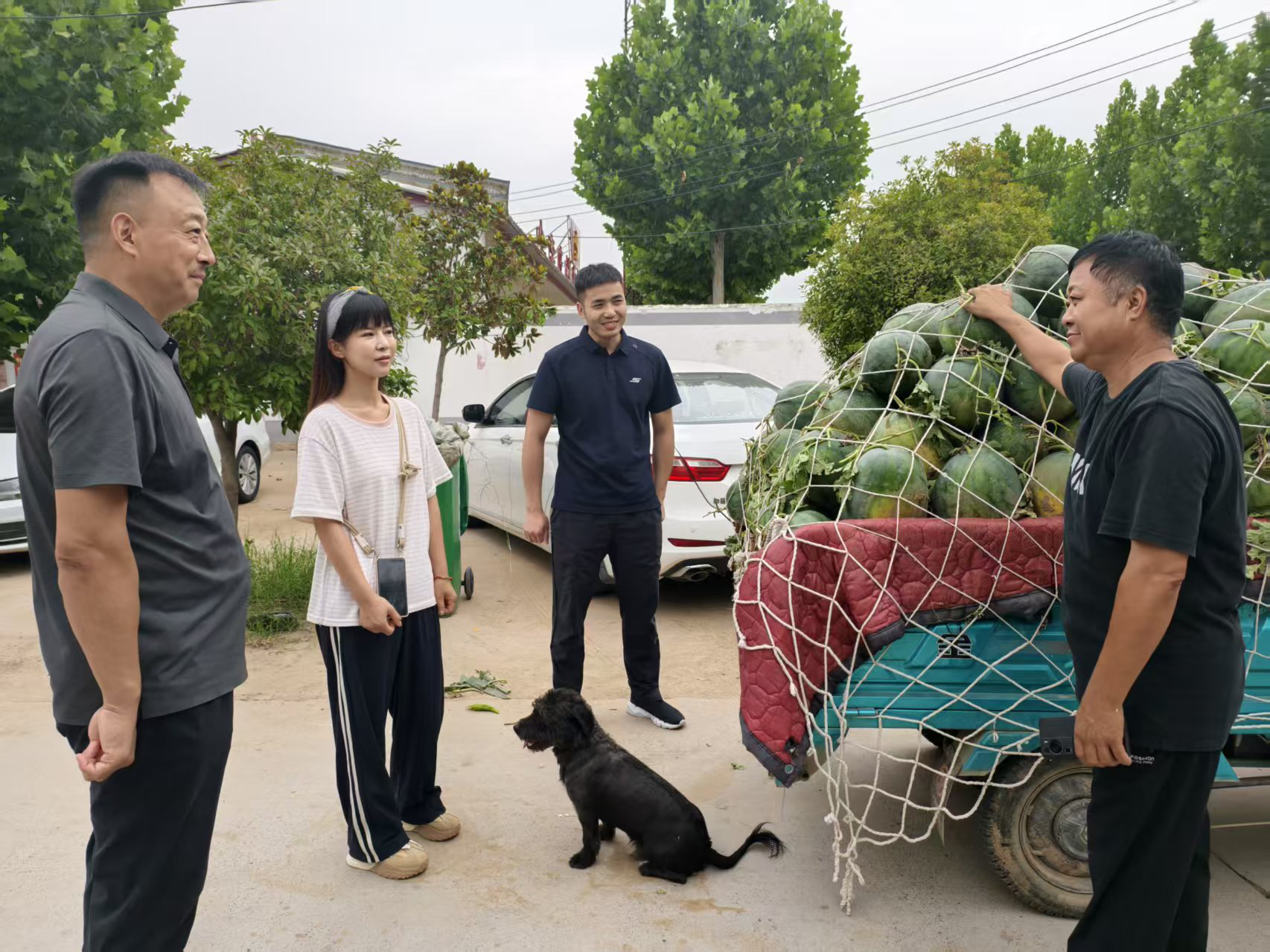 1751007775183.png 图片1.png